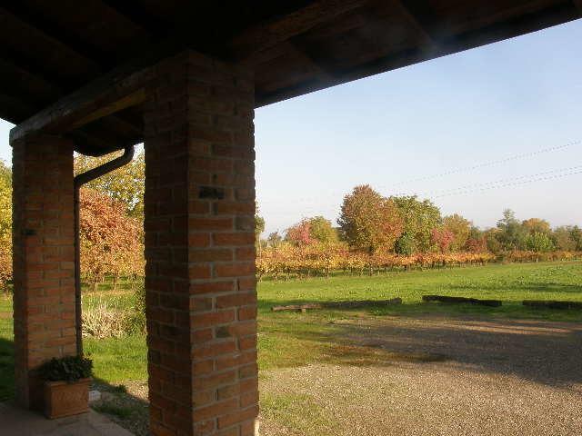 Alojamento de Turismo Rural Bosco Del Fracasso Scandiano